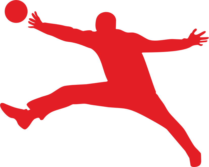 Application International Handball Goalkeeper Camp